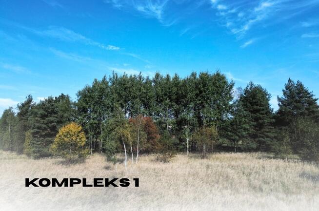 Działki rolne | GROMIEC | ponad 1 ha | NJ INVESTMENT