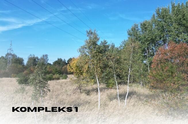 Działki rolne | GROMIEC | ponad 1 ha | NJ INVESTMENT