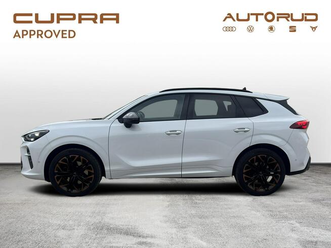 Cupra Terramar 2025