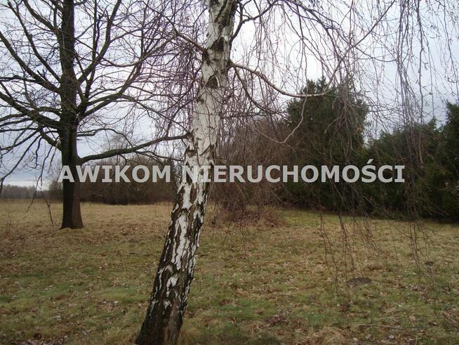 Działka rolna Grzmiąca gm. Żabia Wola