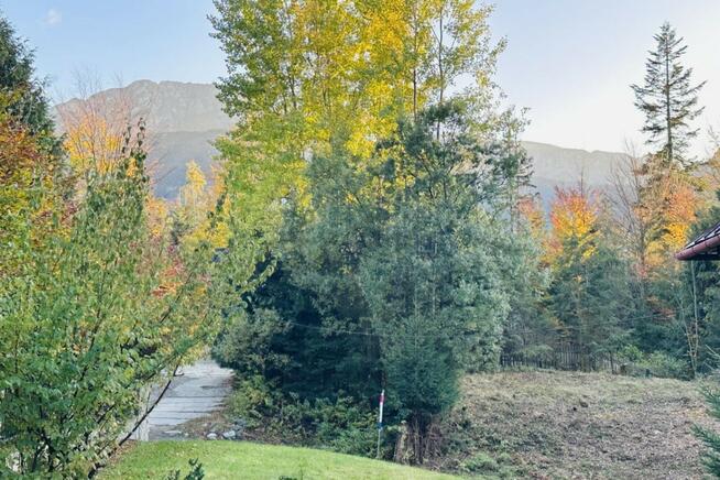 Zakopane 5485 m² Grunt Pod Projekt Inwestycyjny PREMIUM