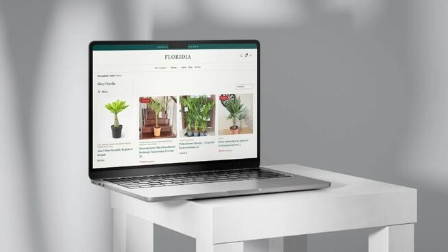 Wykonujemy strony internetowe, sklepy i automatyzacje AI