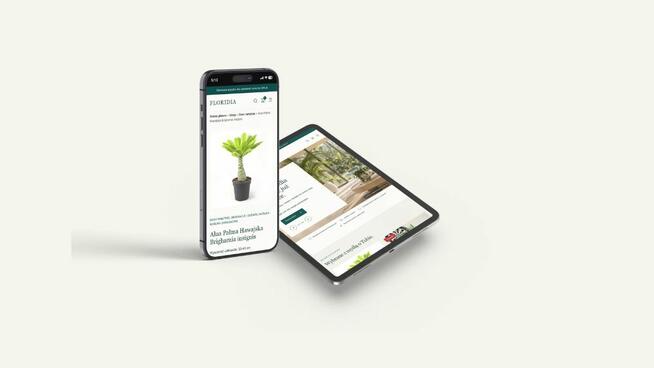 Wykonujemy strony internetowe, sklepy i automatyzacje AI