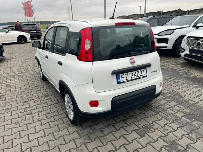 Fiat Panda 2023