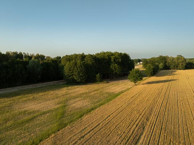 Działka budowlana Zadębie gm. Prażmów,