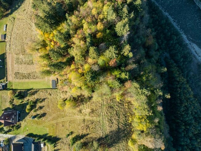 Las na sprzedaż Bukowina Tatrzańska