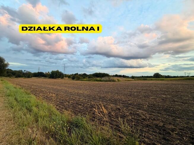 Działki rolne | 2.63 ha | Chełm Śląski | NJ INVESTMENT