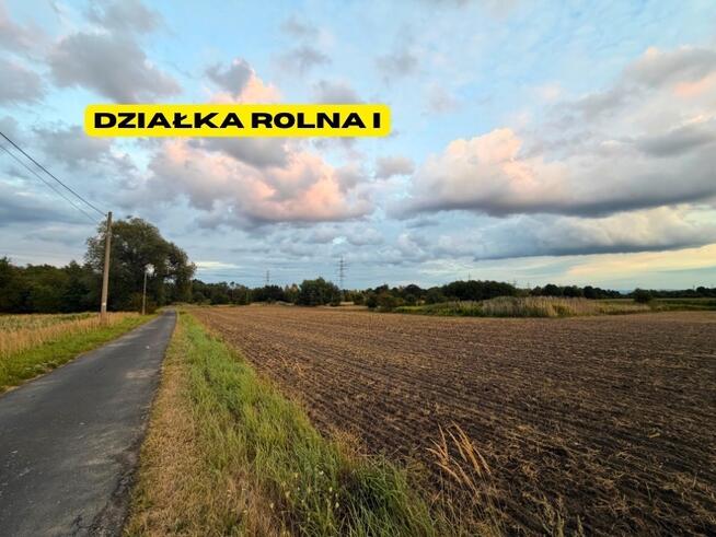 Działki rolne | 2.63 ha | Chełm Śląski | NJ INVESTMENT