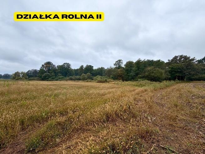 Działki rolne | 2.63 ha | Chełm Śląski | NJ INVESTMENT