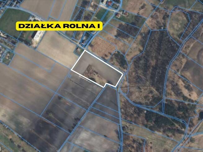 Działki rolne | 2.63 ha | Chełm Śląski | NJ INVESTMENT