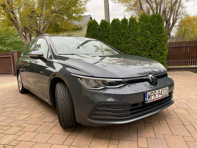 Volkswagen Golf 2021