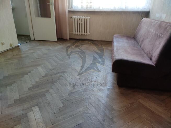 Koniec życia na tanim plastiku
