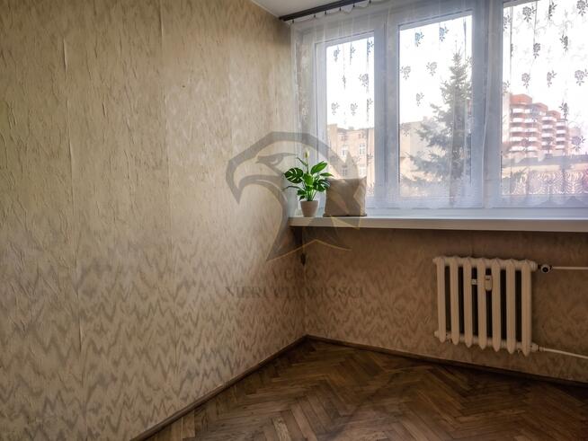 Koniec życia na tanim plastiku