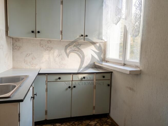 Koniec życia na tanim plastiku