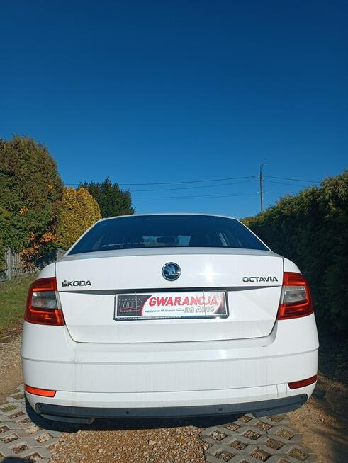 Skoda Octavia 2017