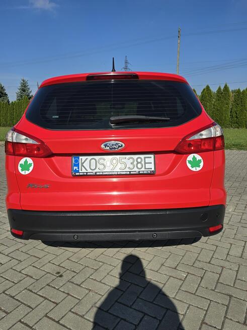 Ford Focus 2013