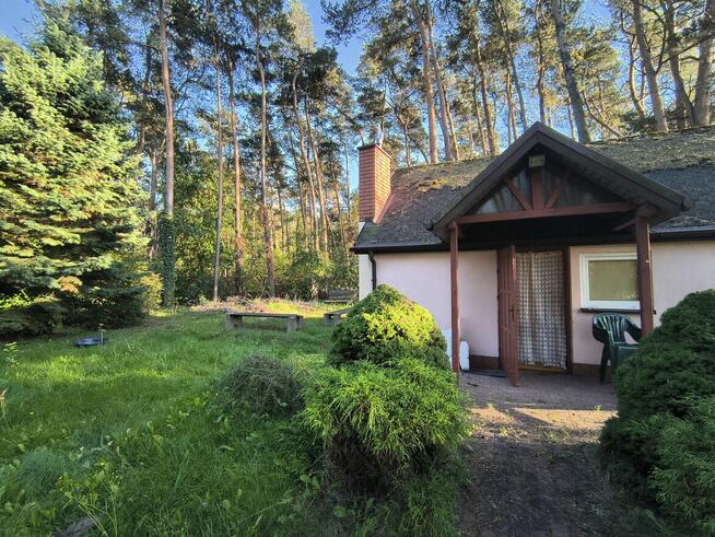 Uzbrojona, ogrodzona działka budowlana ~1500m², Szynkielew p