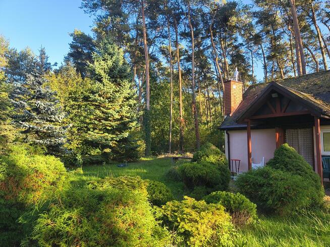 Uzbrojona, ogrodzona działka budowlana ~1500m², Szynkielew p