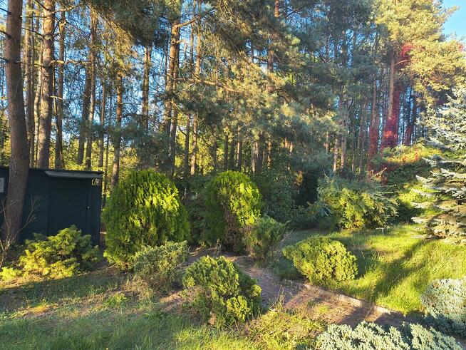 Uzbrojona, ogrodzona działka budowlana ~1500m², Szynkielew p
