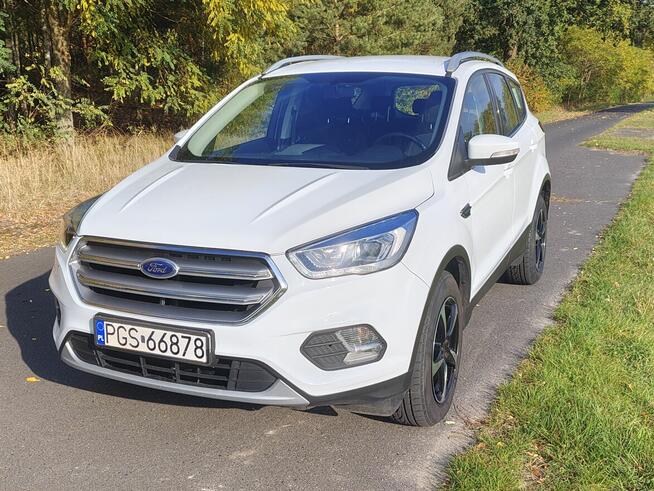 Ford Kuga 2019