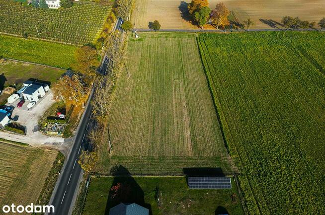 Działka, 1 450 m², Szczepanowo