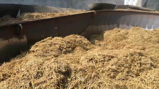Żwirek pellet granulat dla Kota 15kg
