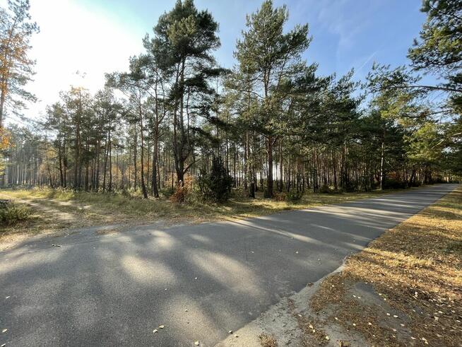 Działka budowlana | 1989 m² | las+zalew | Młyniska | 105 zł