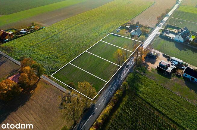 Działka, 1 450 m², Szczepanowo
