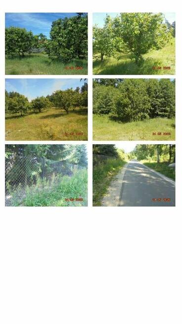 Syndyk sprzeda posiadłość z domem o powierzchni 480 m2