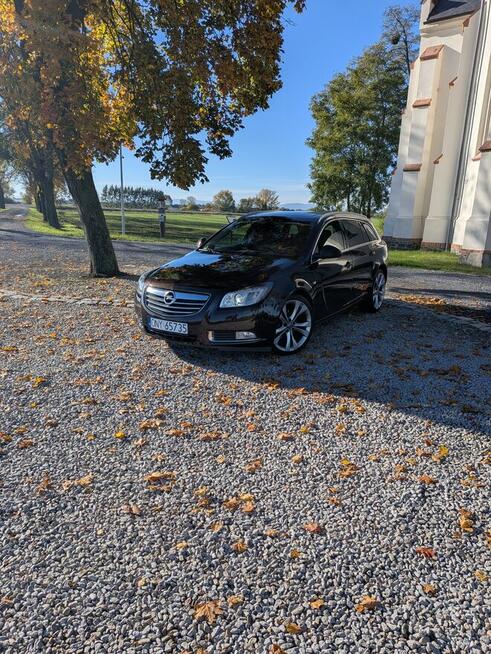 Opel Insignia 2011 r. 2.0 CDTI ecoFlex DPF OFF
