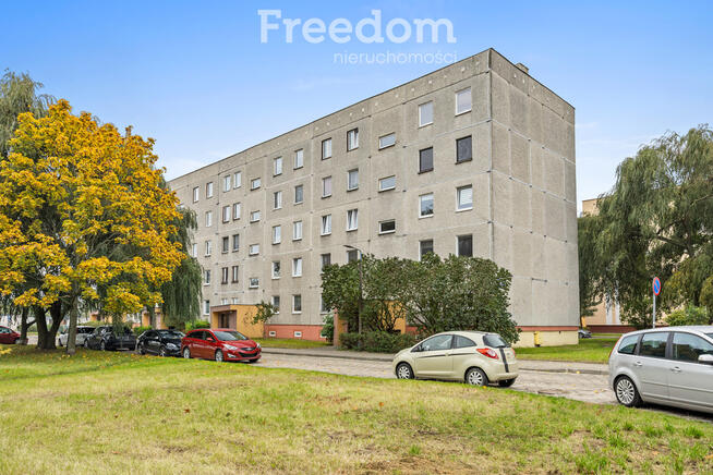 3 pokojowe mieszkanie w Żyrardowie