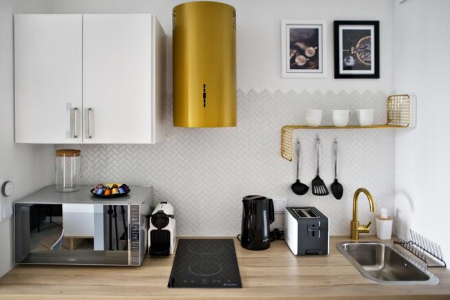 Zamieszkaj lub zarabiaj — apartament, Bliska Wola