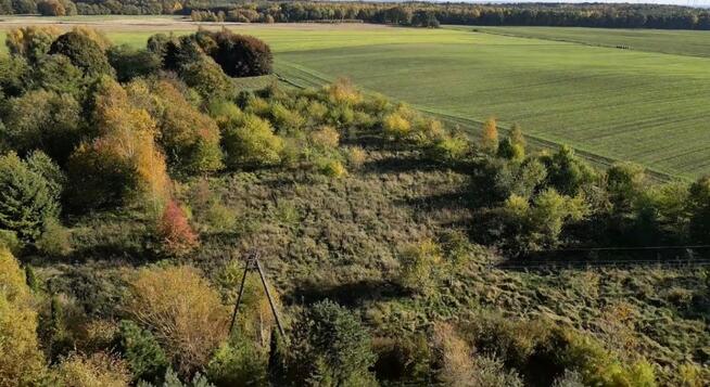 Dom 150 m² | działka 1,5 HA | Gorzysław | możliwa zamiana