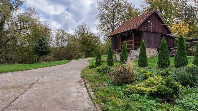 BURZYN - gospodarstwo, dom, ziemia, las (12,74 ha)