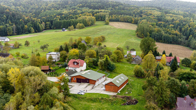 BURZYN - gospodarstwo, dom, ziemia, las (12,74 ha)