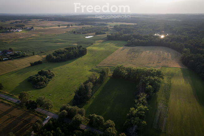 14,2 ha wysokiej klasy gruntów | dochód dzierżawa