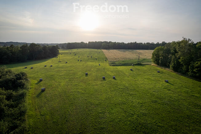 14,2 ha wysokiej klasy gruntów | dochód dzierżawa