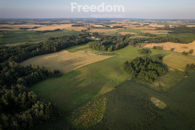 14,2 ha wysokiej klasy gruntów | dochód dzierżawa