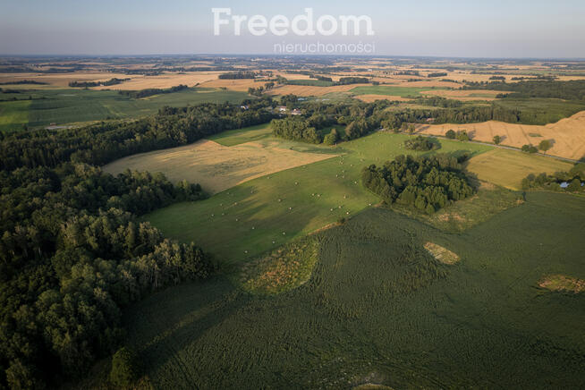 14,2 ha wysokiej klasy gruntów | dochód dzierżawa