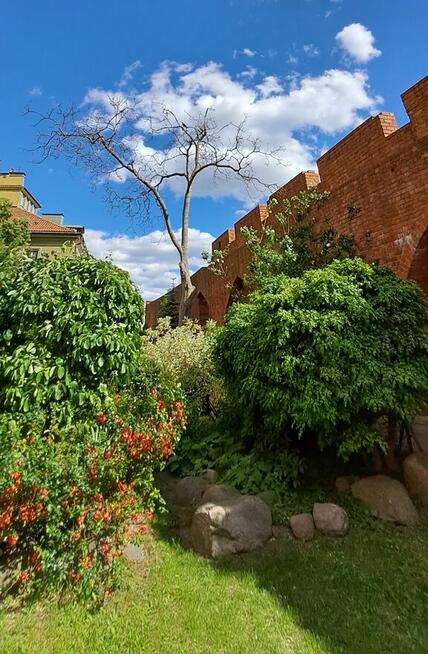 pomoc kuchenna w kameralnym zespole