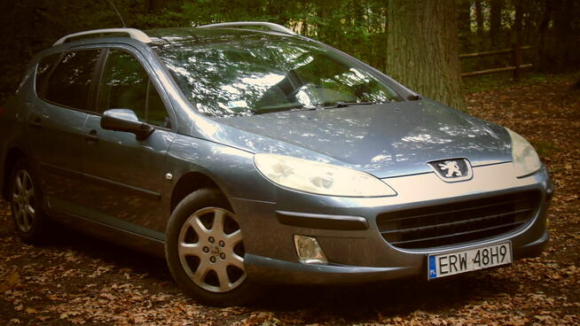 Peugeot 407