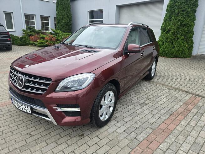 Mercedes-Benz Pozostałe