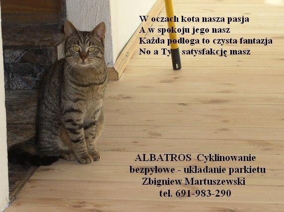 cyklinowanie bezpyłowe Elbląg - ALBATROS Zbigniew Martuszewski