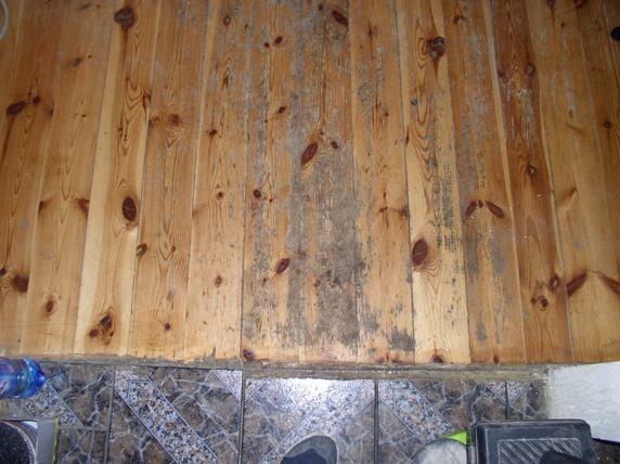 cyklinowanie bezpyłowe Elbląg - ALBATROS Zbigniew Martuszewski