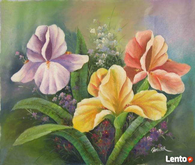 Okaza! Super cena! Komplet 40 obrazów ręcznie malowanych