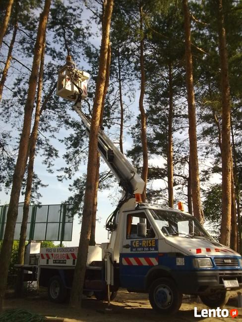 Wycinka i pielęgnacja drzew W Lublinie-tanio