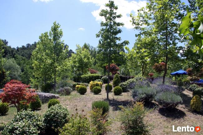 Zakładanie ogrodów - Kraków i okolice - Sungarden