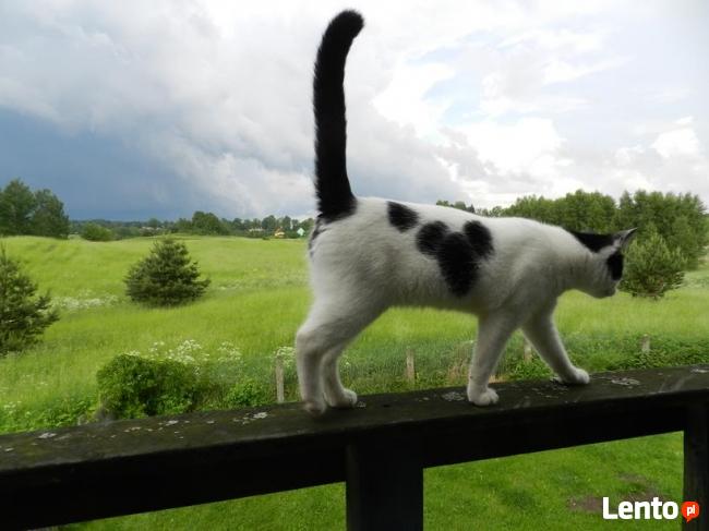Wypoczynek nad jeziorem w pieknym, cichym miejscu