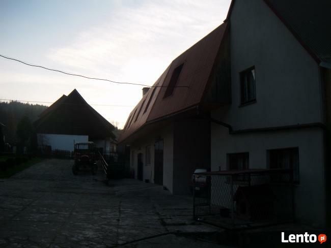 DREW-MAX Krzysztof Hampel producent boazerji