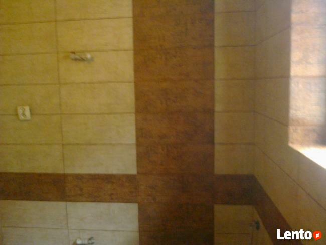 Oferuję układanie łazienek: kamień, gres, terakota.